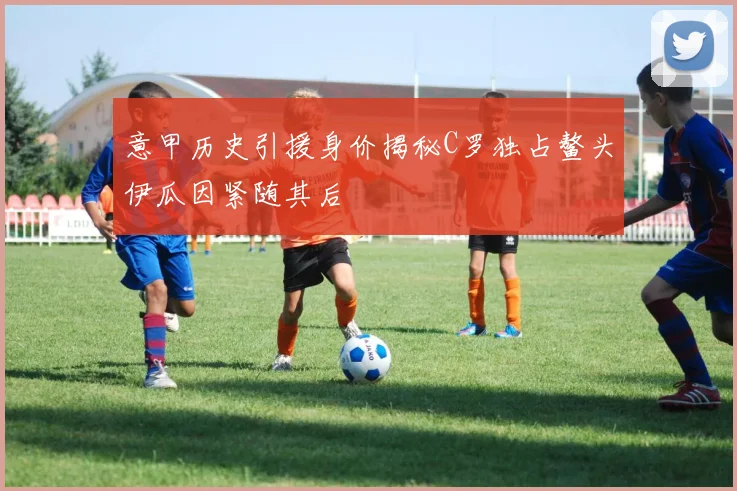 意甲历史引援身价揭秘C罗独占鳌头伊瓜因紧随其后