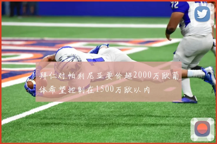 拜仁对帕利尼亚要价超2000万欧葡体希望控制在1500万欧以内