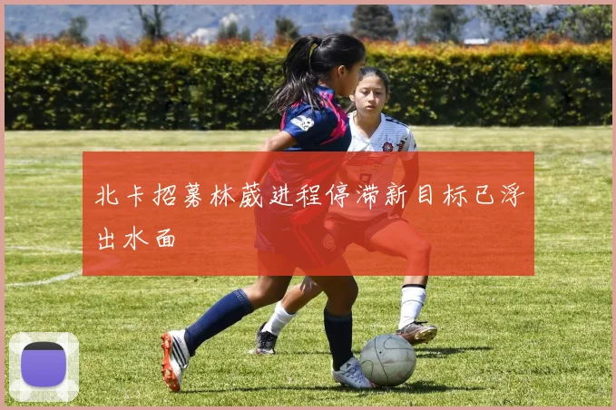 北卡招募林葳进程停滞新目标已浮出水面